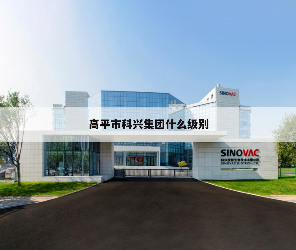 高平市科兴集团什么级别