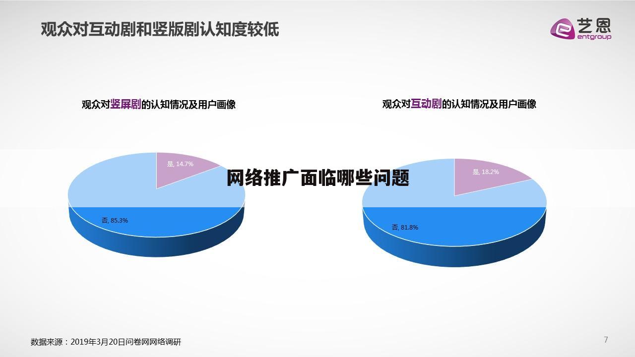 网络推广面临哪些问题