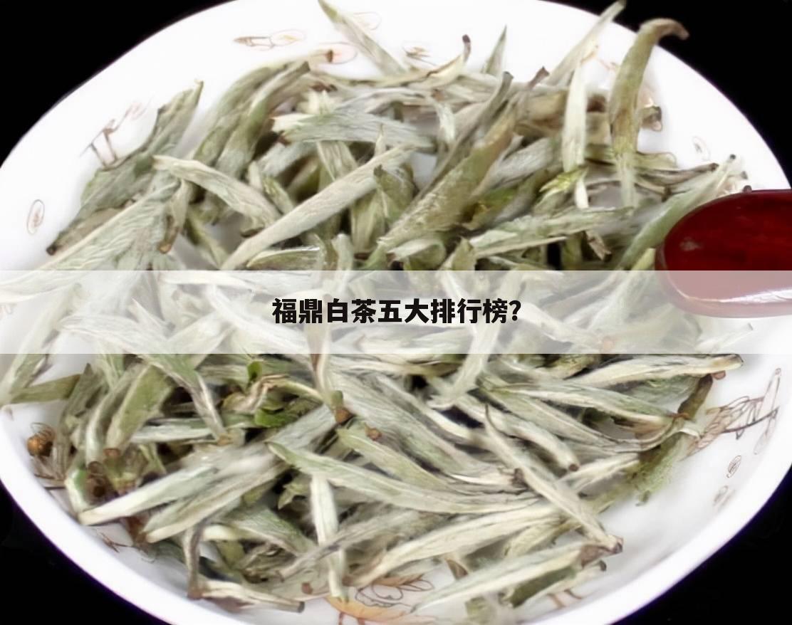 福鼎白茶五大排行榜？