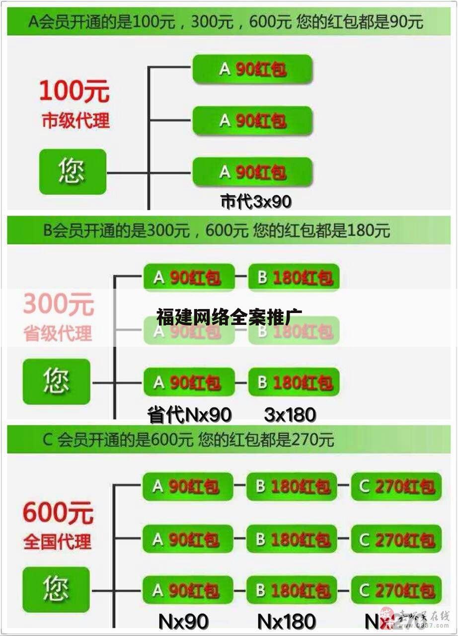 福建网络全案推广