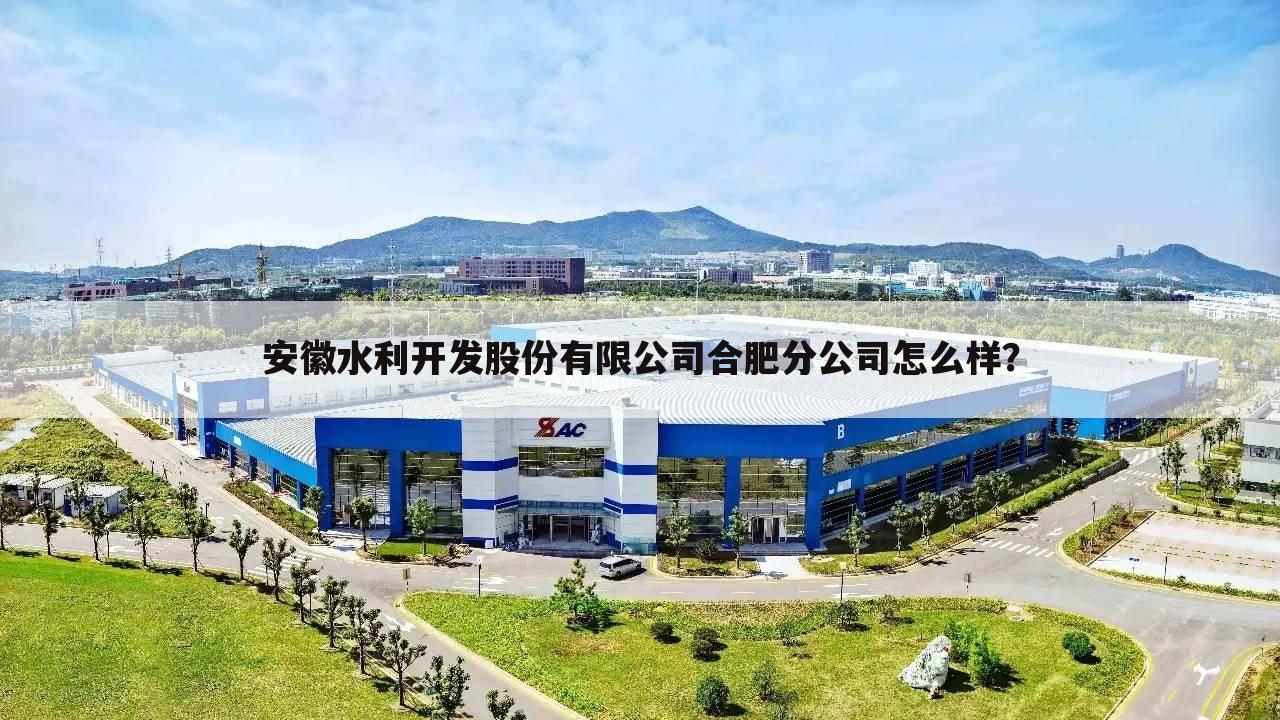 安徽水利开发股份有限公司合肥分公司怎么样?
