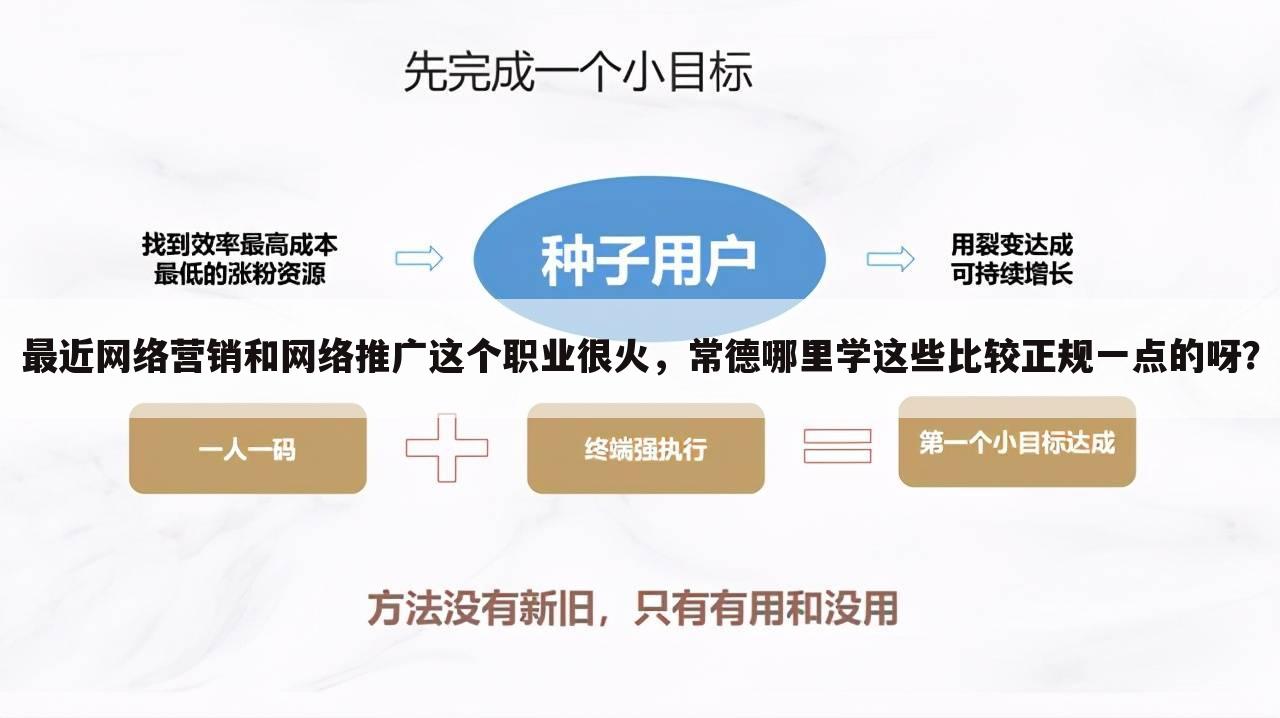 最近网络营销和网络推广这个职业很火,常德哪里学这些比较正规一点的呀?