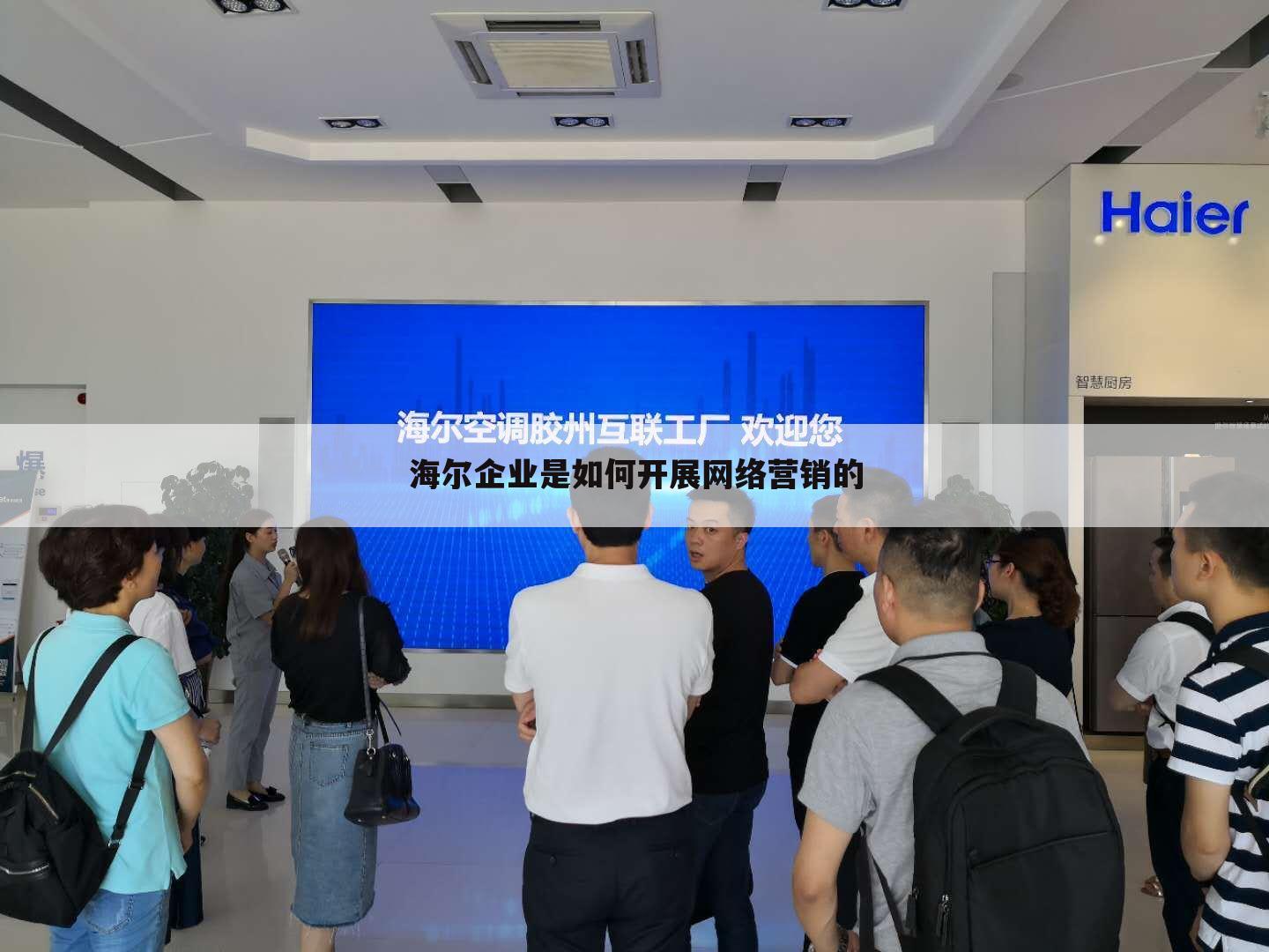 海尔企业是如何开展网络营销的