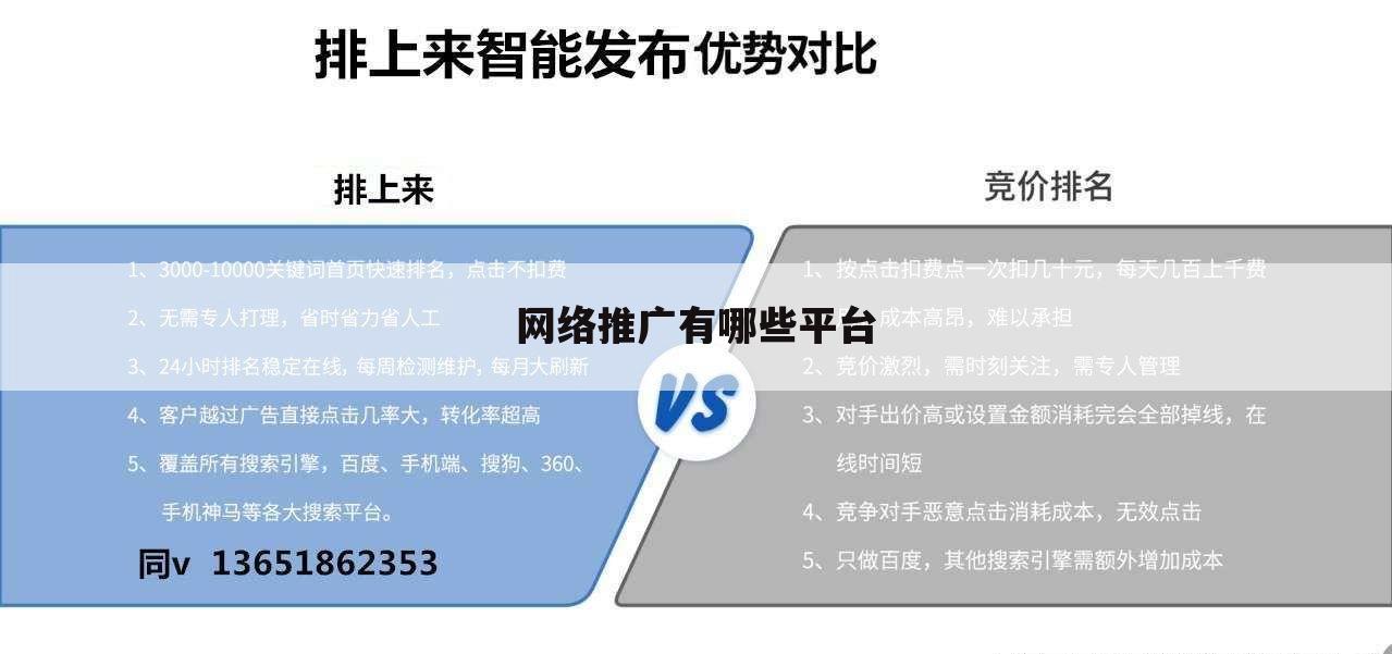 网络推广有哪些平台