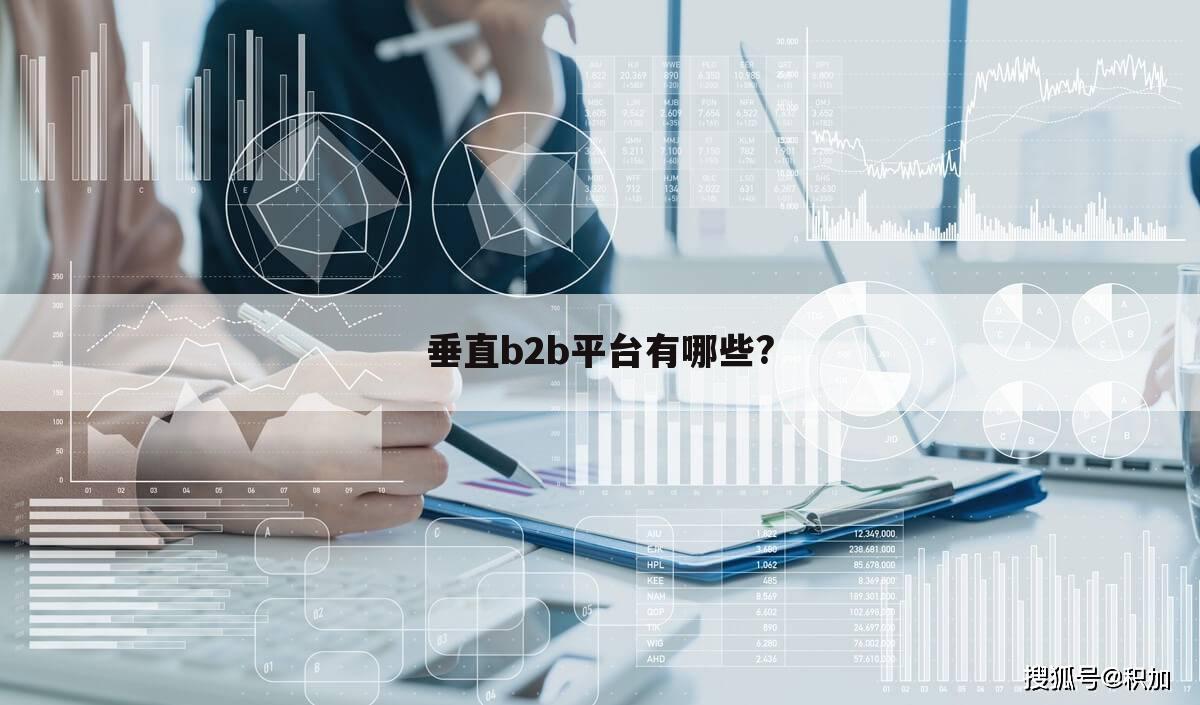 垂直b2b平台有哪些?