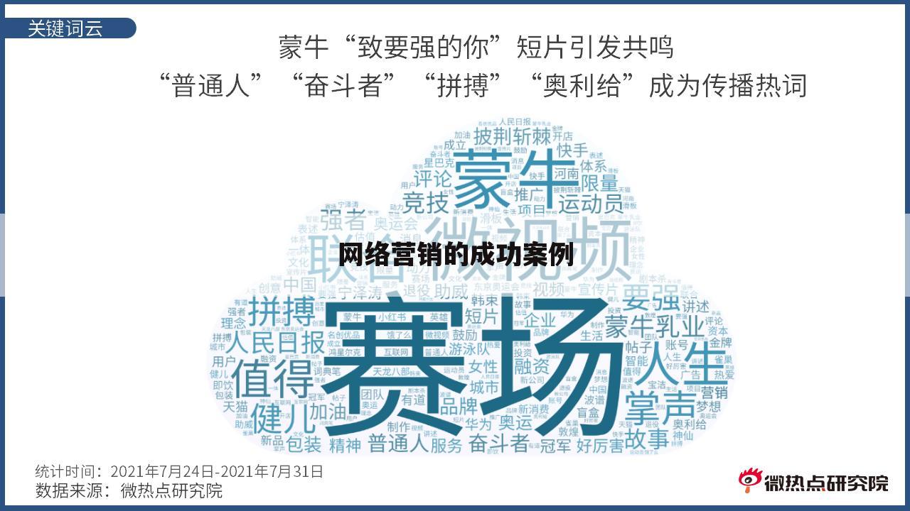 网络营销的成功案例