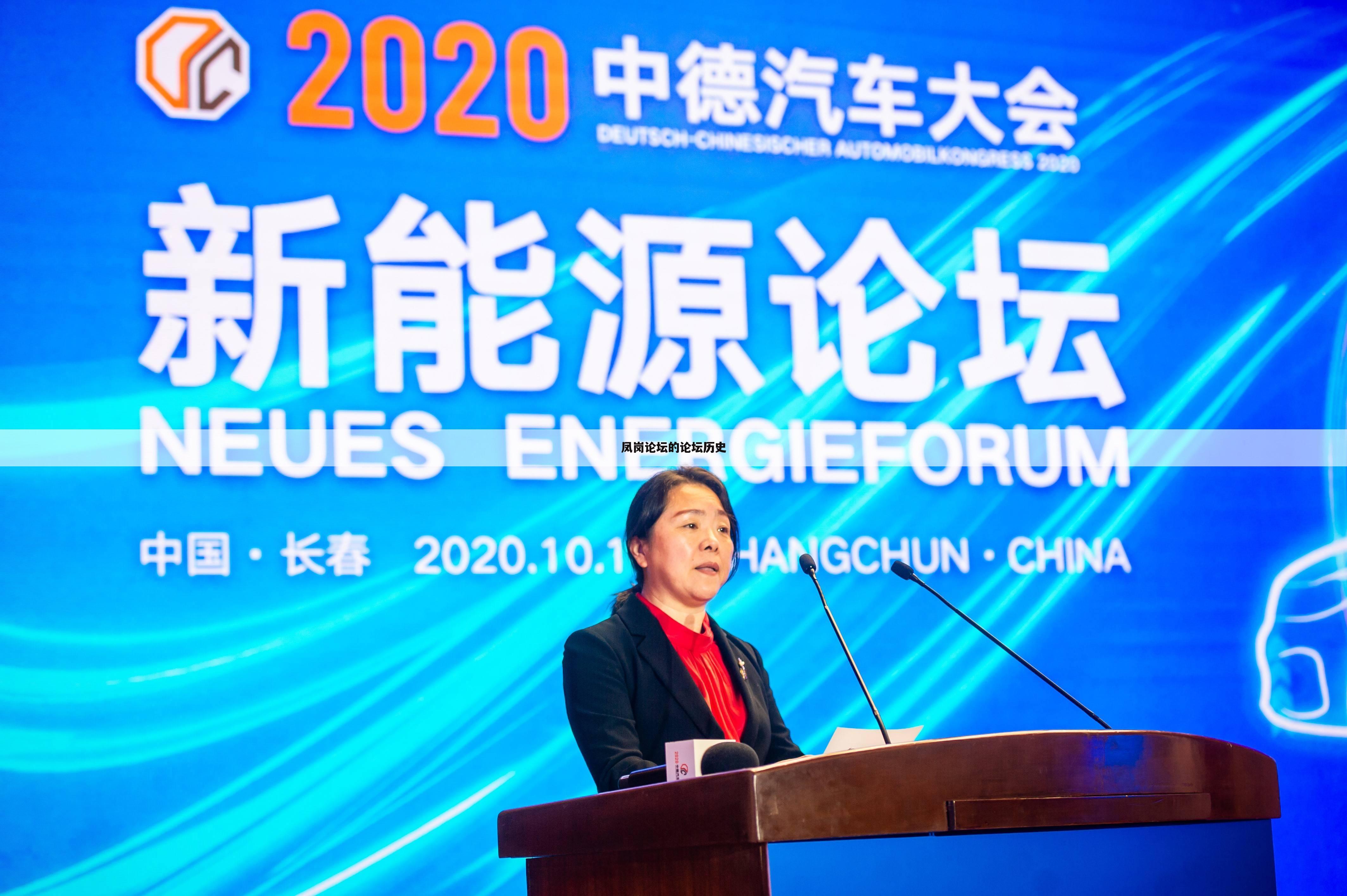 凤岗论坛的论坛历史