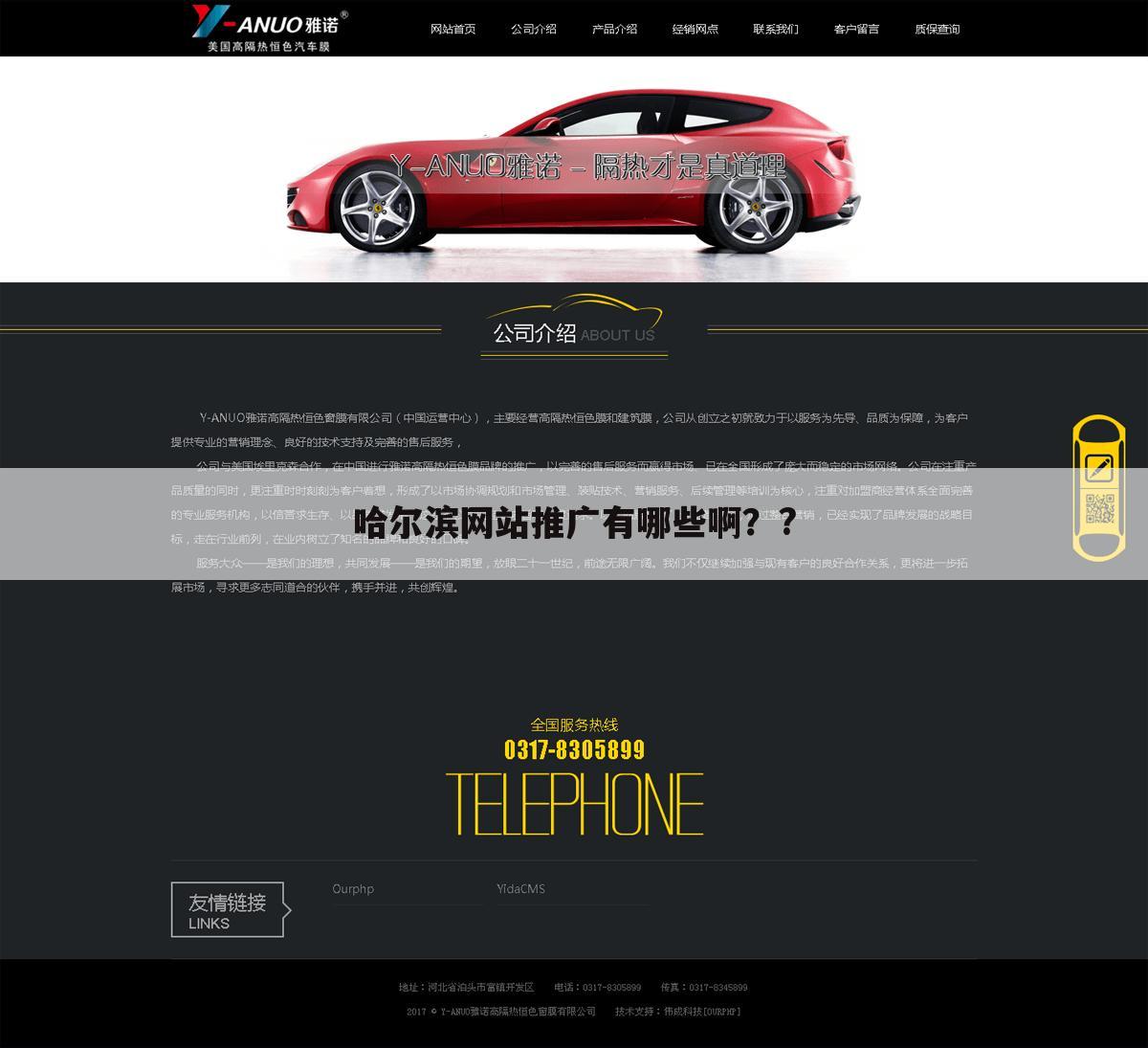 哈尔滨网站推广有哪些啊？?