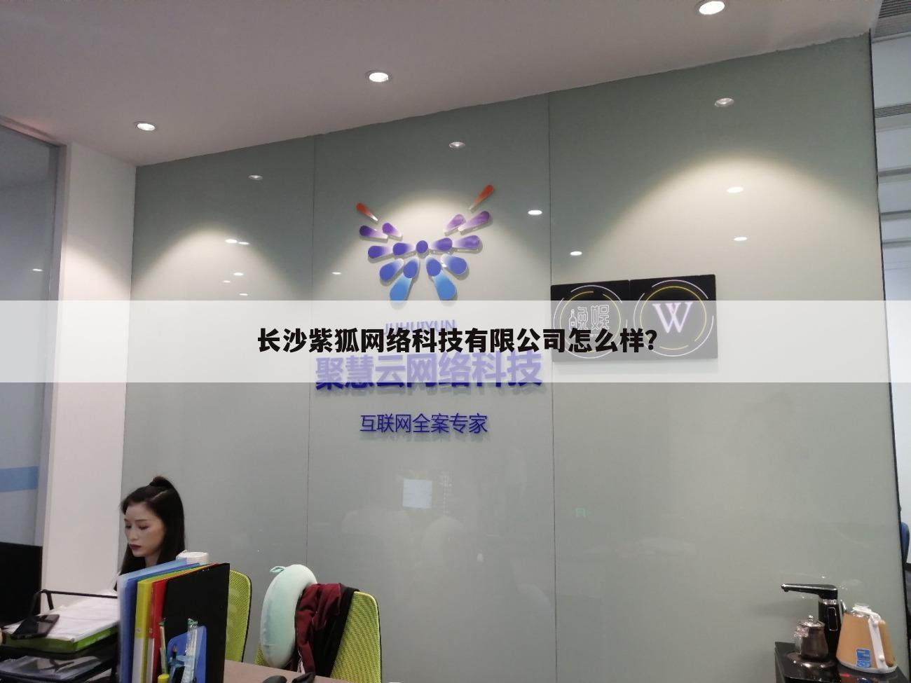 长沙紫狐网络科技有限公司怎么样？