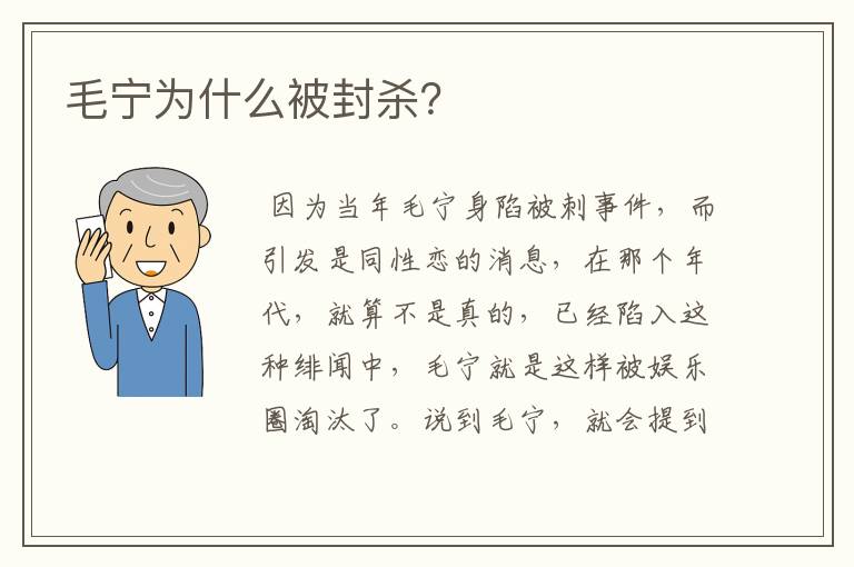 毛宁为什么被封杀?