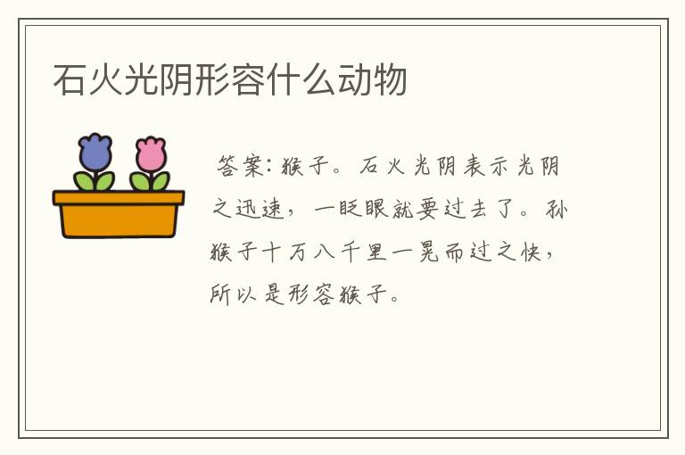 石火光阴形容什么动物