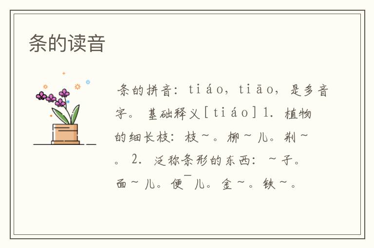 条的读音