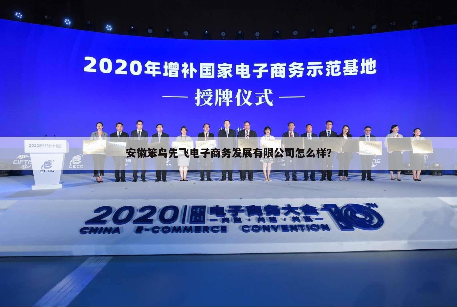 安徽笨鸟先飞电子商务发展有限公司怎么样?