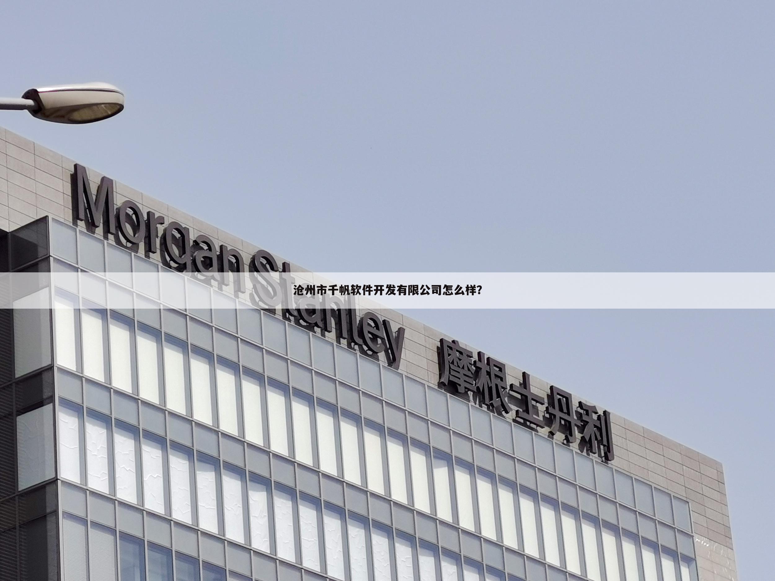 沧州市千帆软件开发有限公司怎么样?