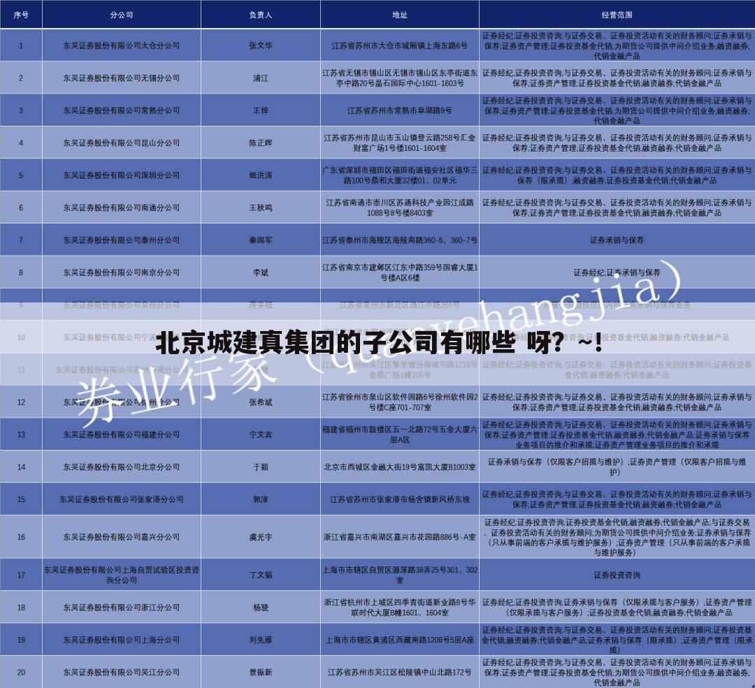 北京城建真集团的子公司有哪些 呀？~！