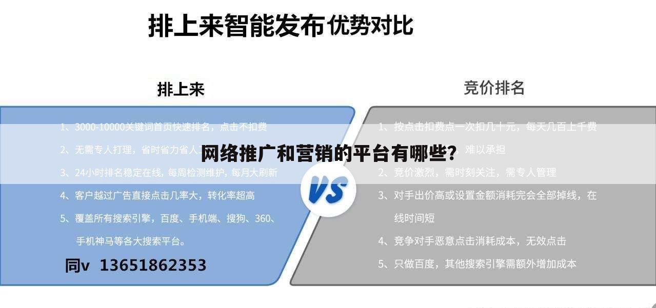 网络推广和营销的平台有哪些？