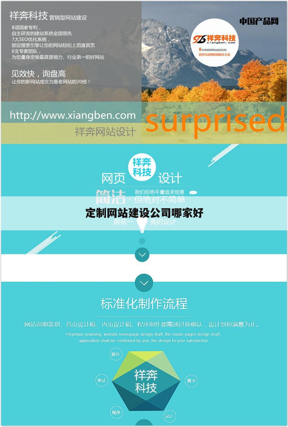 定制网站建设公司哪家好