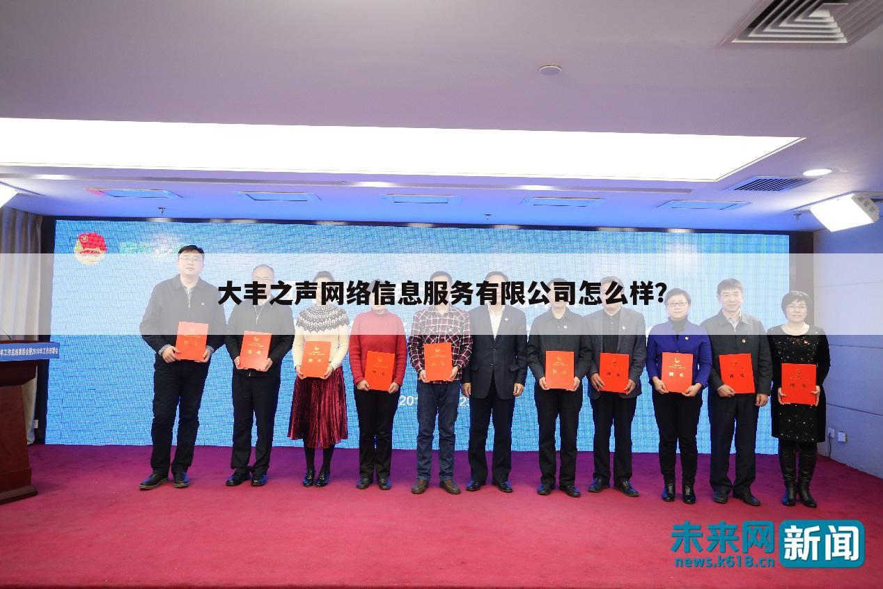 大丰之声网络信息服务有限公司怎么样？