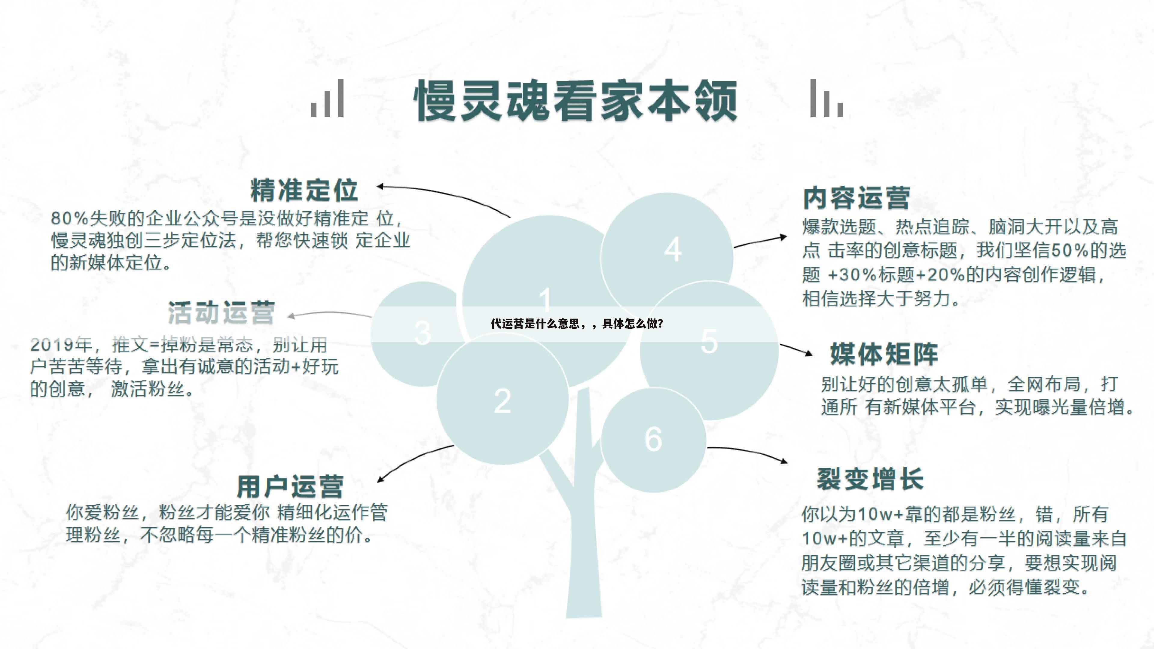 代运营是什么意思,,具体怎么做?