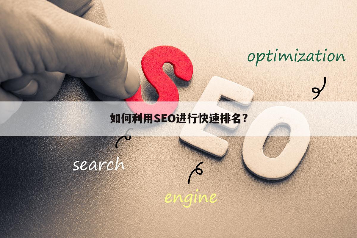 如何利用SEO进行快速排名?