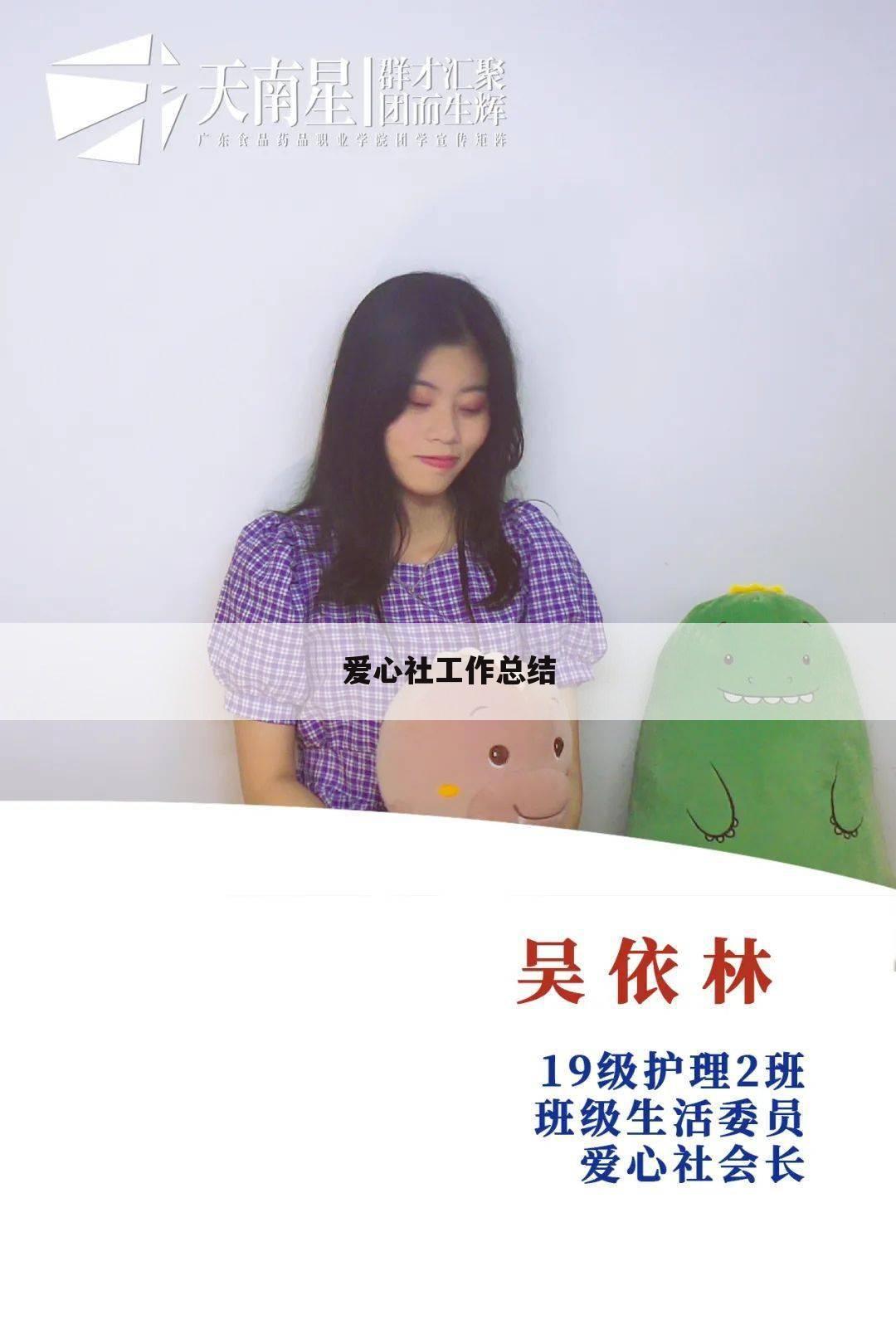 爱心社工作总结