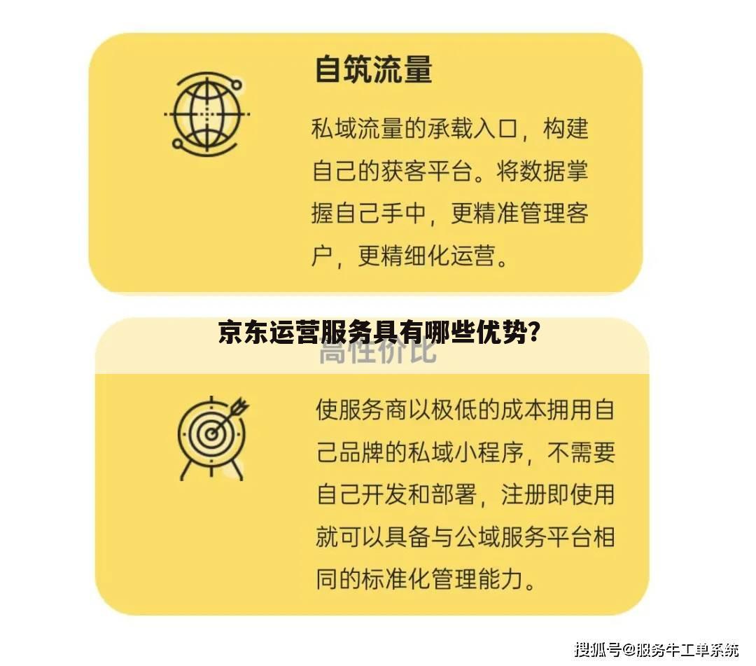 京东运营服务具有哪些优势?