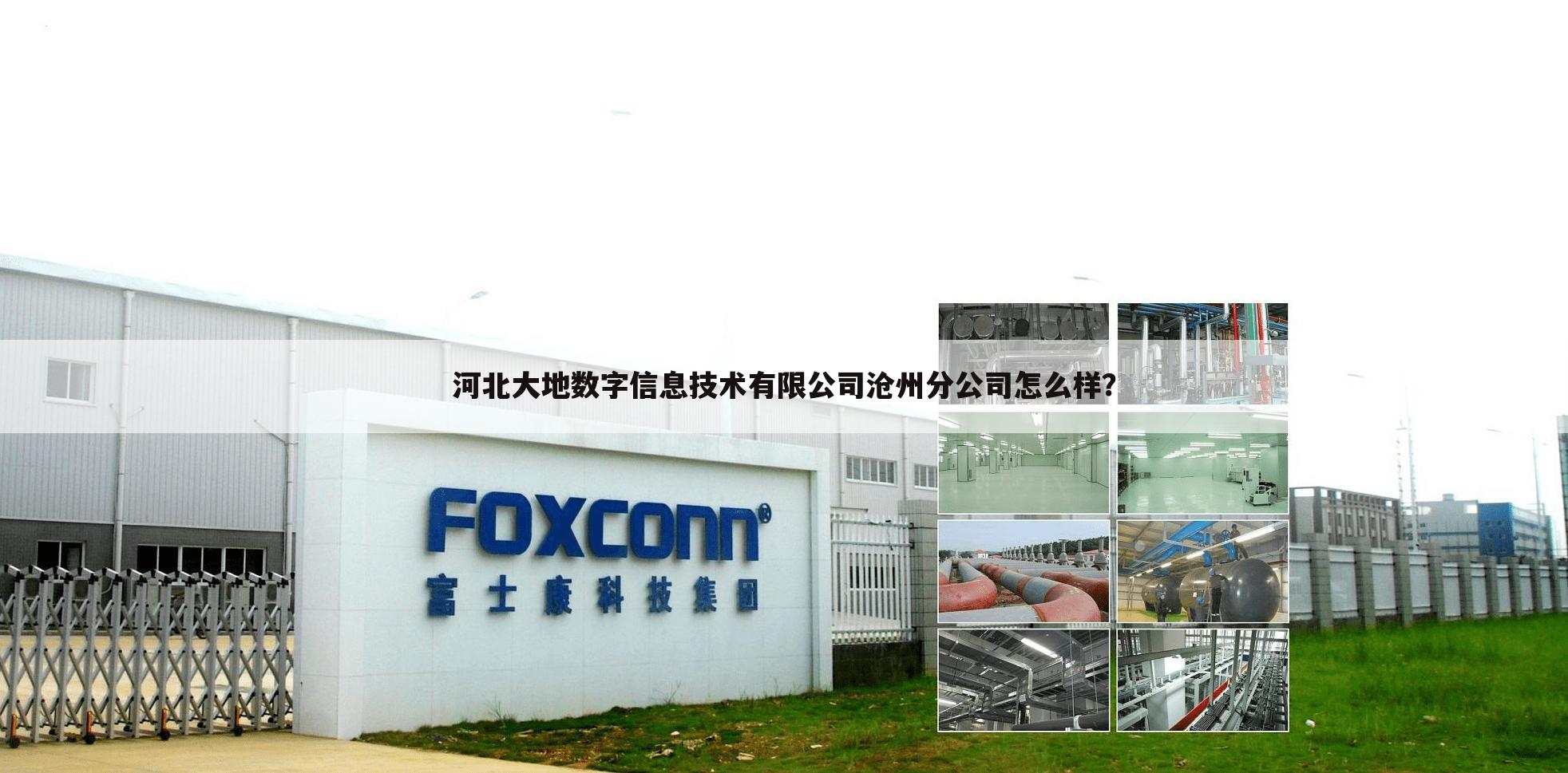河北大地数字信息技术有限公司沧州分公司怎么样?