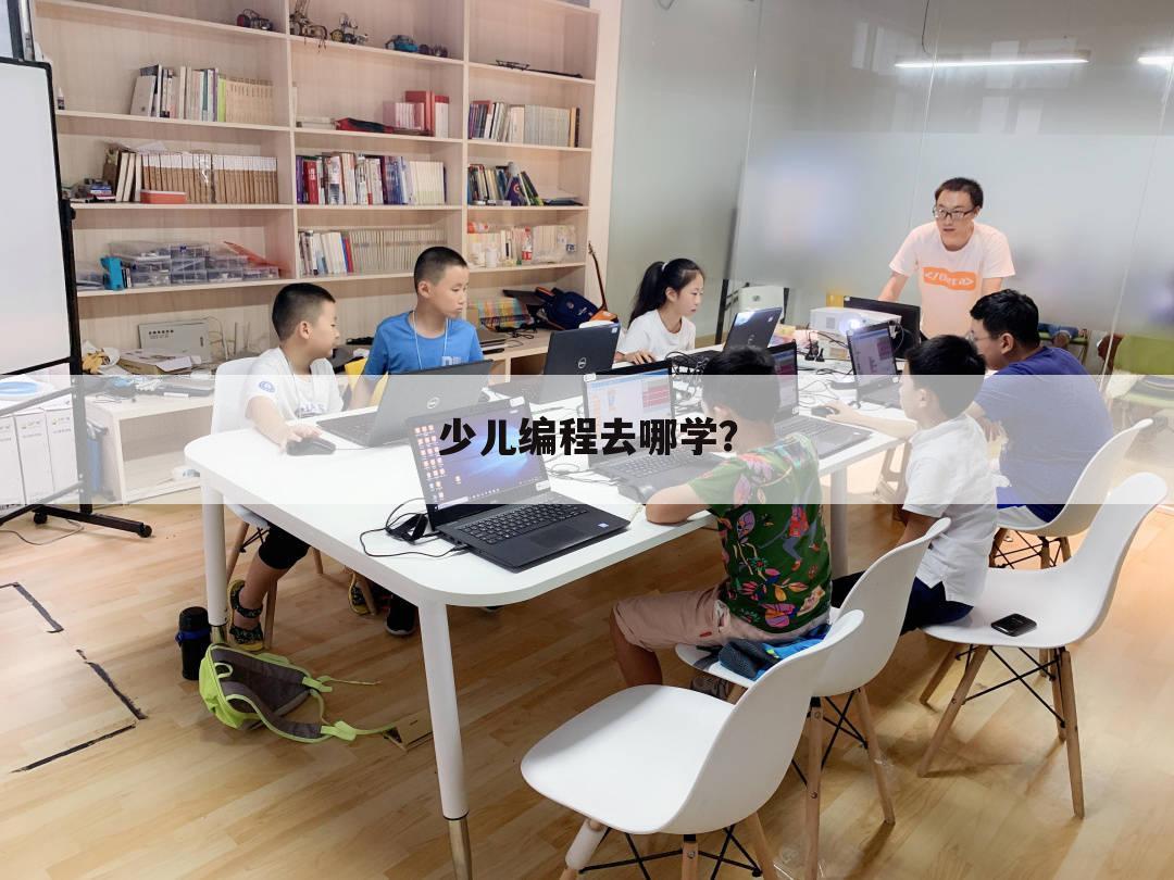少儿编程去哪学?