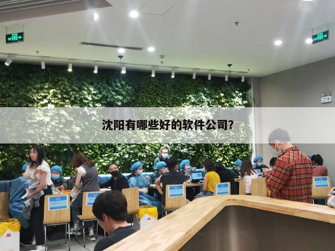 沈阳有哪些好的软件公司?