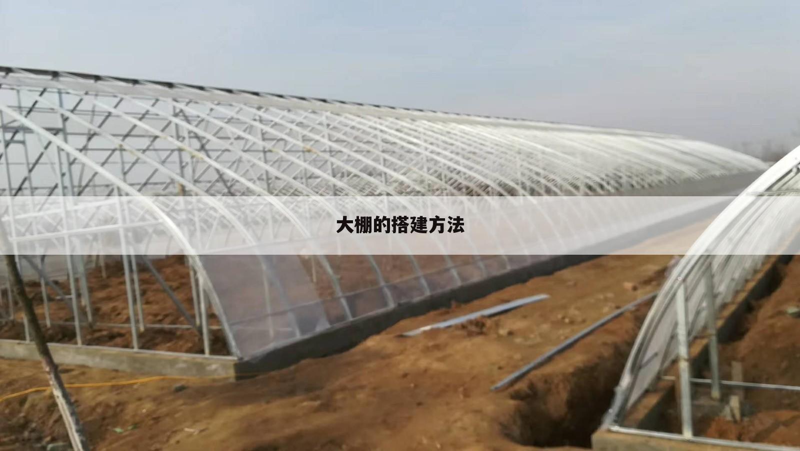 大棚的搭建方法