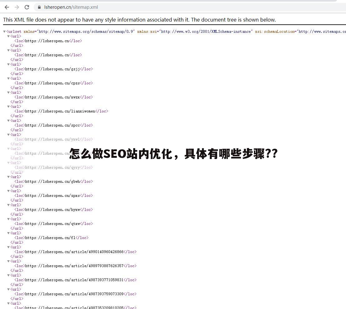 怎么做SEO站内优化,具体有哪些步骤??