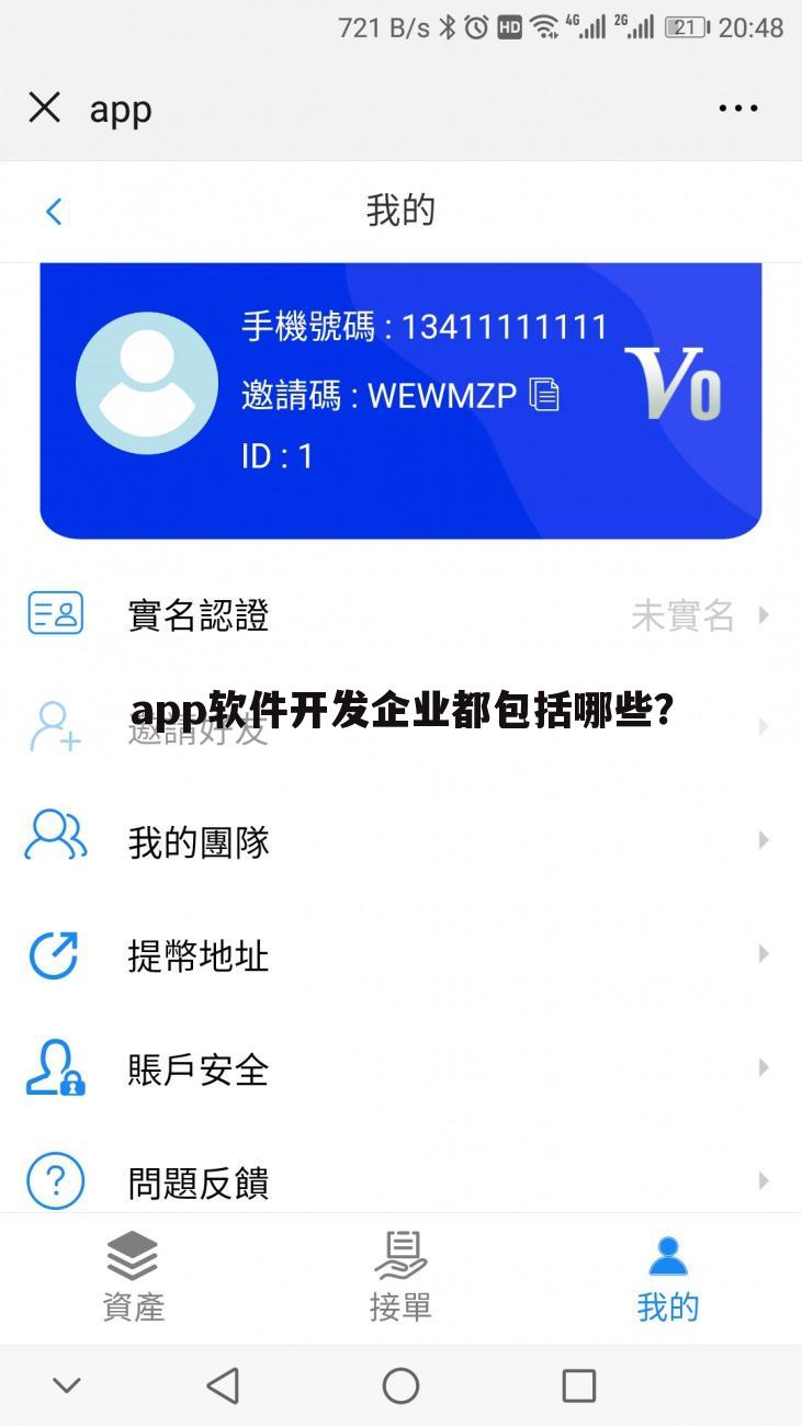 app软件开发企业都包括哪些?