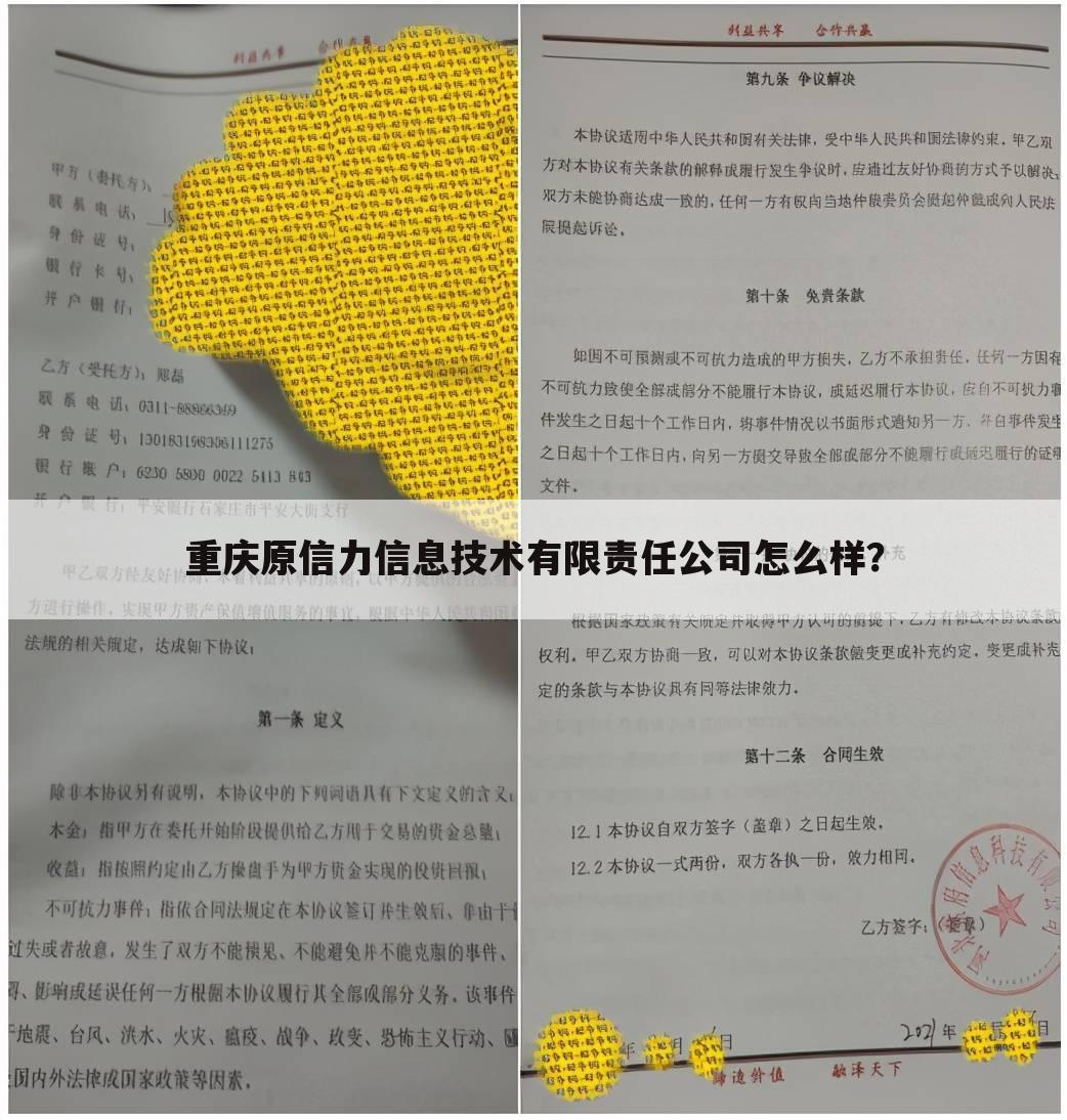 重庆原信力信息技术有限责任公司怎么样？