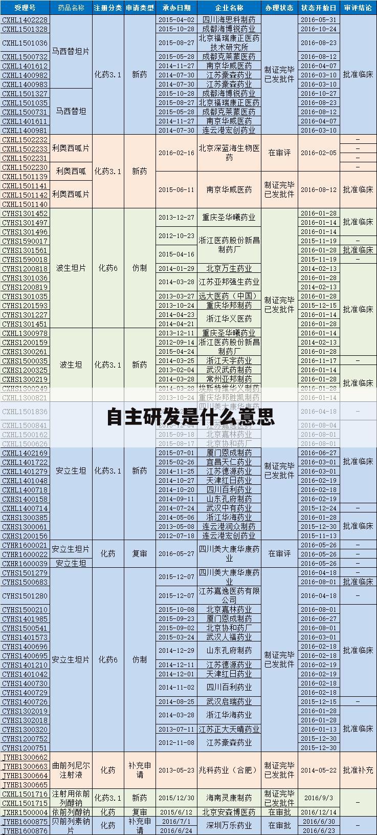 自主研发是什么意思