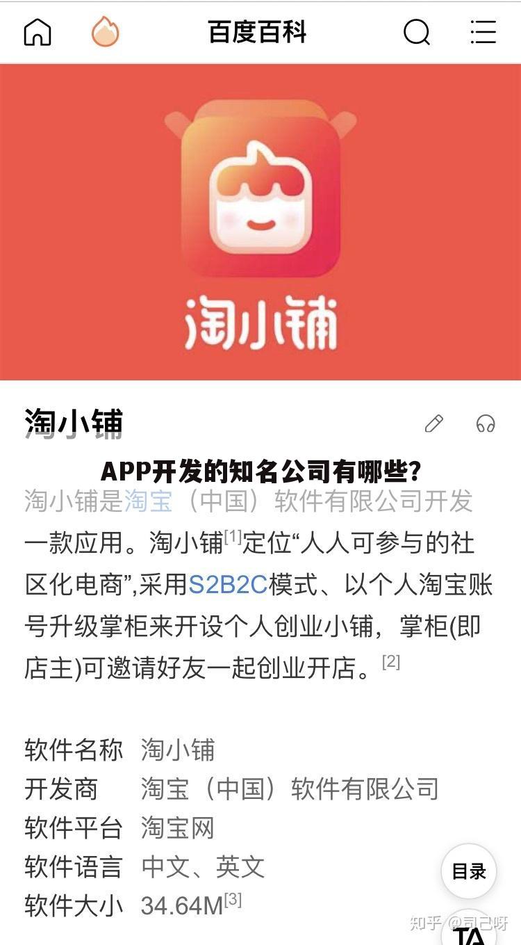 APP开发的知名公司有哪些?