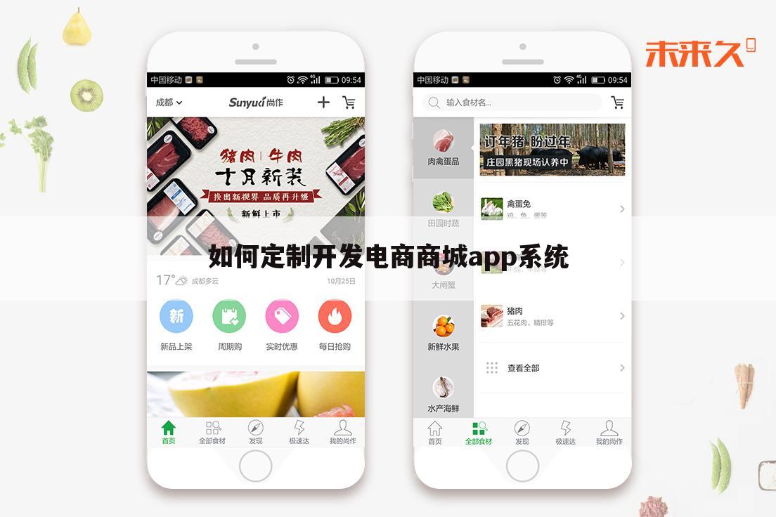 如何定制开发电商商城app系统