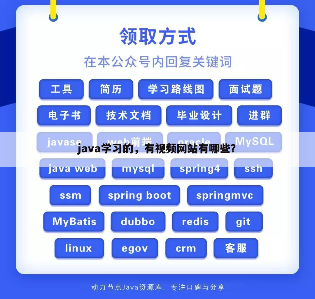 java学习的,有视频网站有哪些?