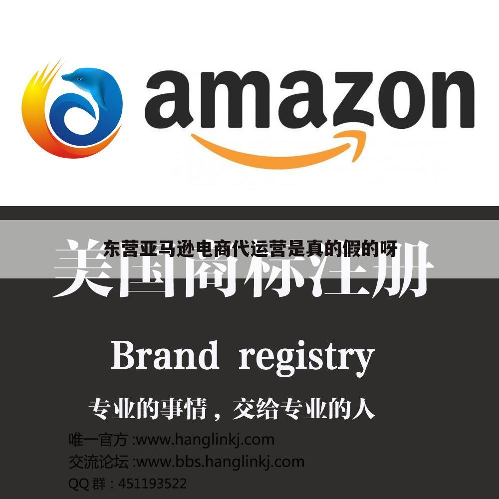 东营亚马逊电商代运营是真的假的呀