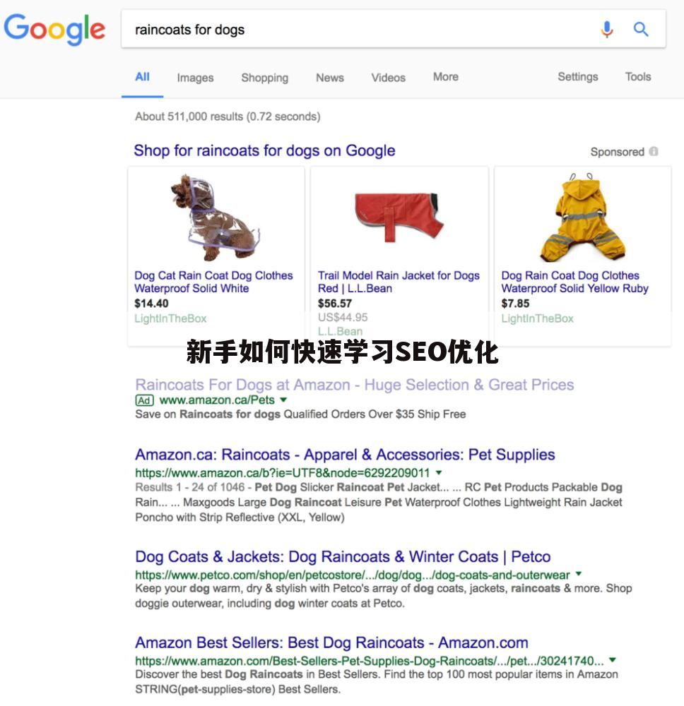新手如何快速学习SEO优化