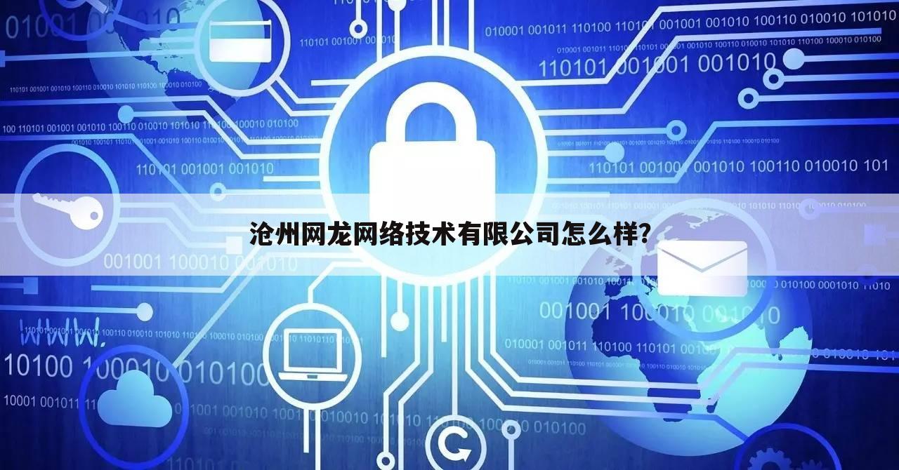 沧州网龙网络技术有限公司怎么样？