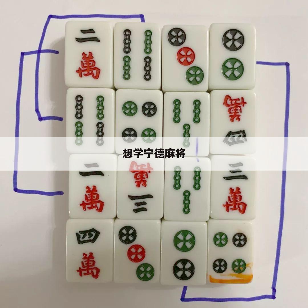 想学宁德麻将