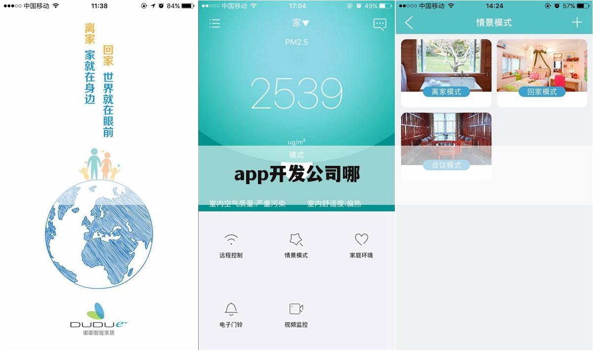 app开发公司哪