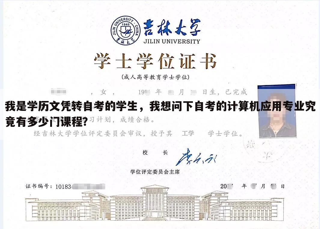 我是学历文凭转自考的学生,我想问下自考的计算机应用专业究竟有多少门课程?