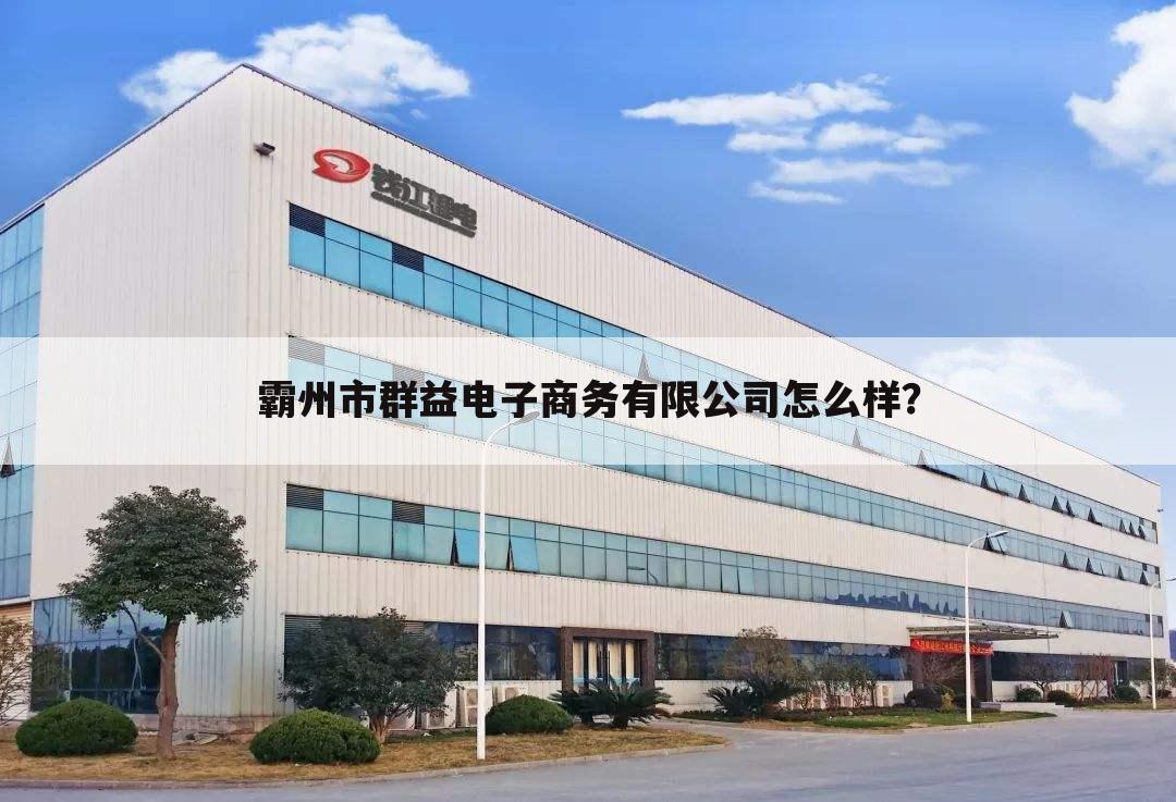 霸州市群益电子商务有限公司怎么样?