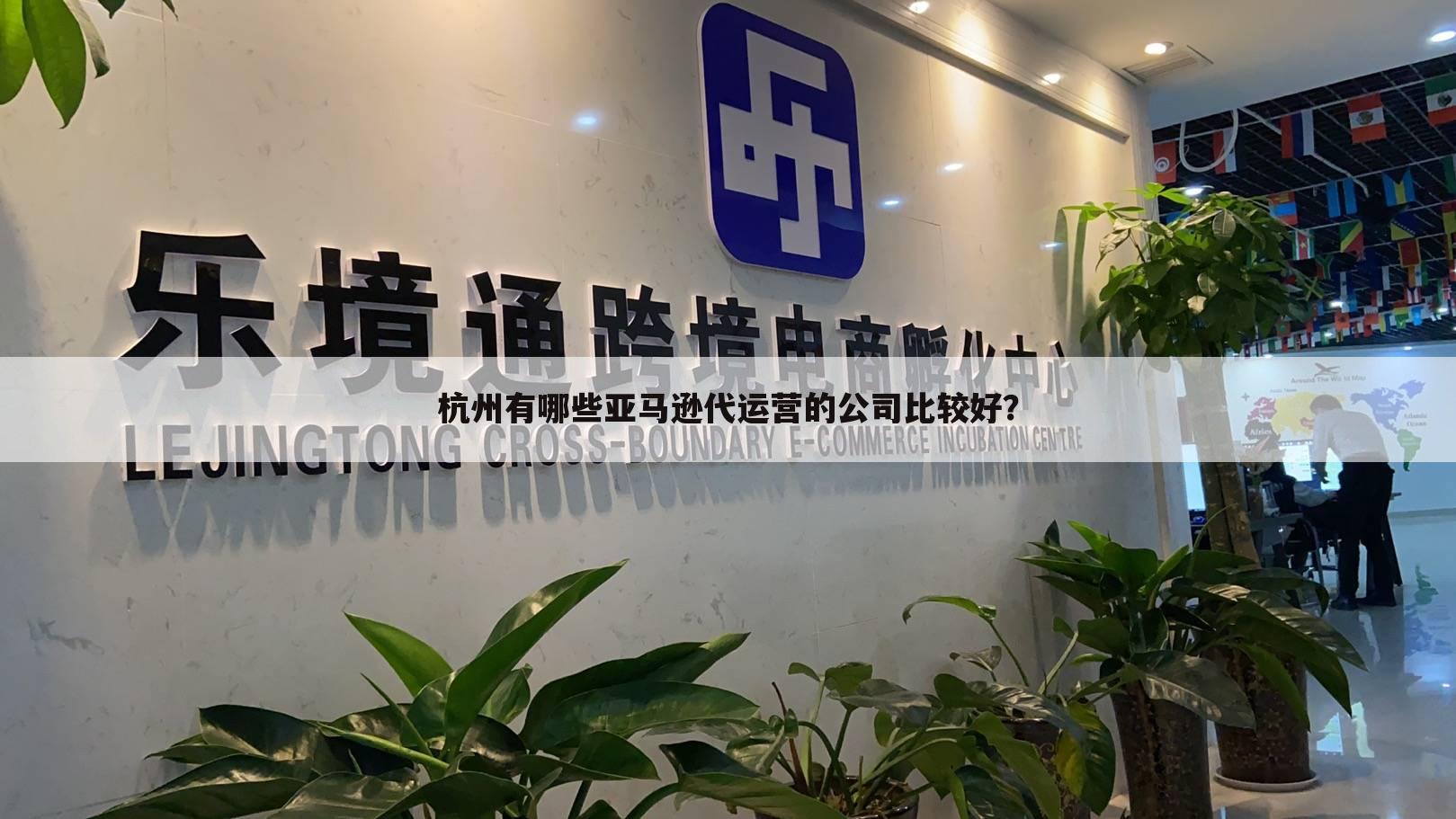 杭州有哪些亚马逊代运营的公司比较好？