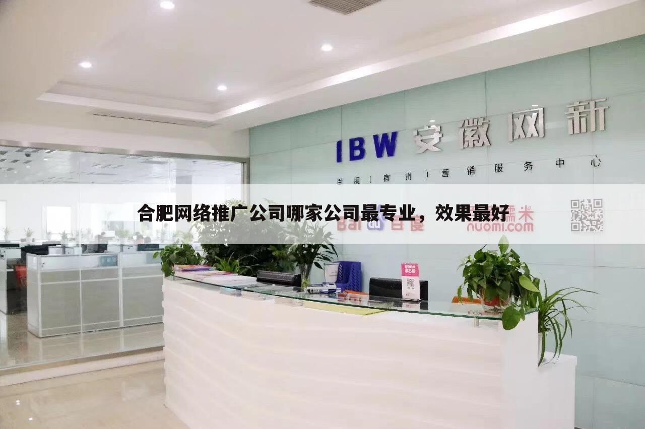 合肥网络推广公司哪家公司最专业,效果最好