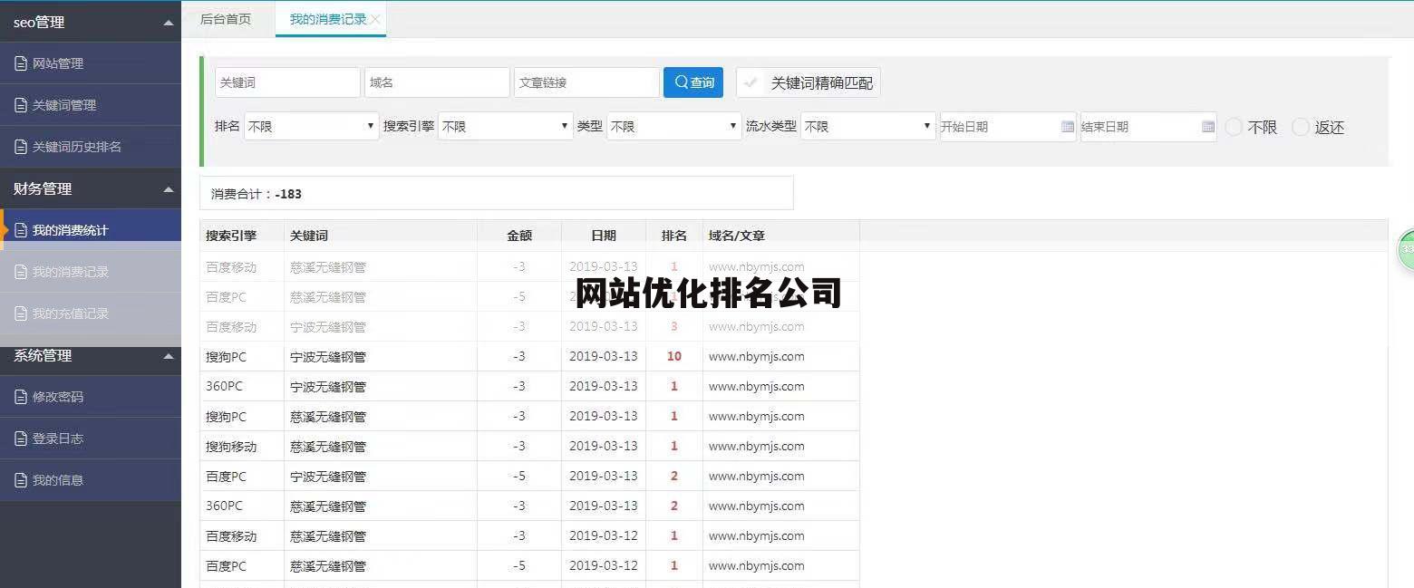 网站优化排名公司