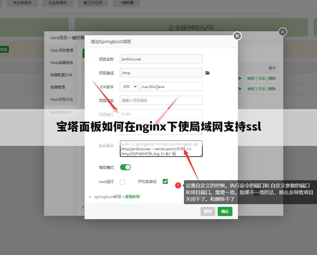 宝塔面板如何在nginx下使局域网支持ssl