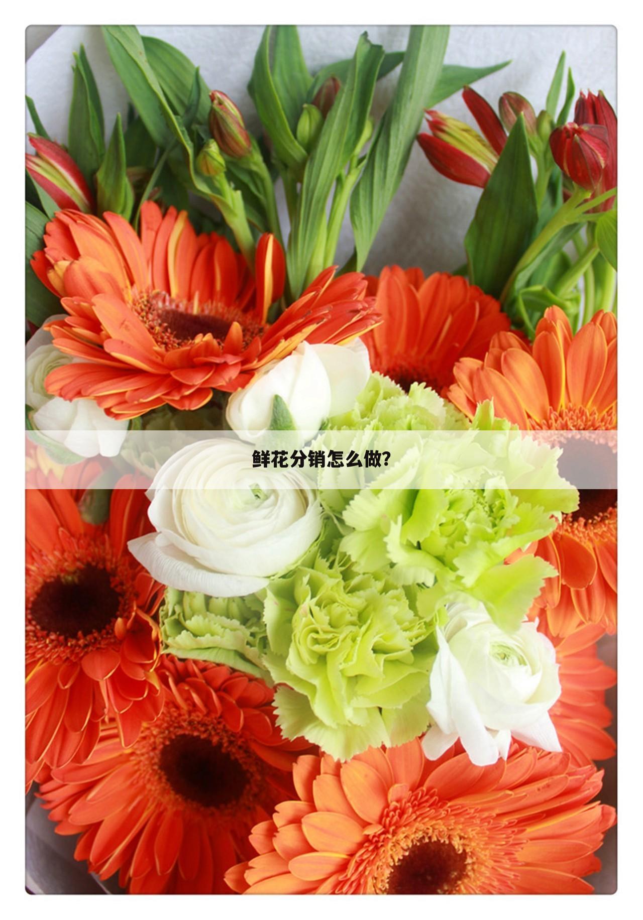 鲜花分销怎么做？