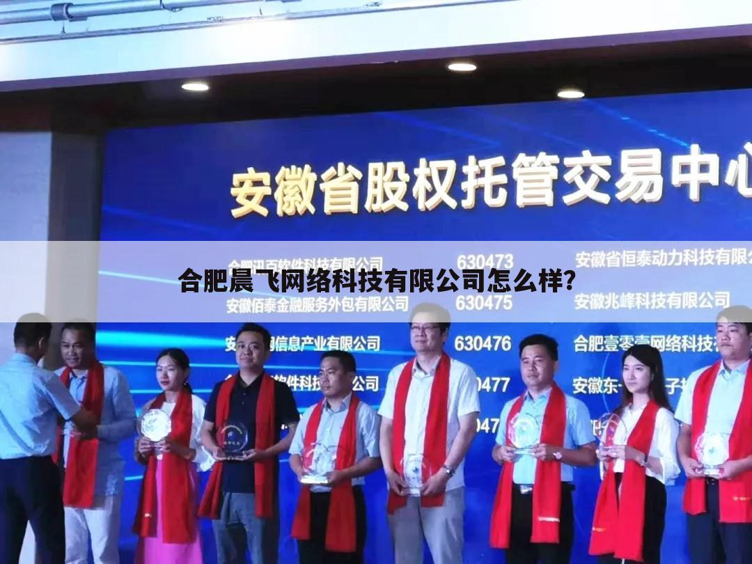 合肥晨飞网络科技有限公司怎么样?